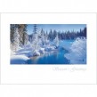 Snow Covered Trees
