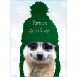Dressed for Winter - Green