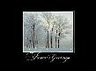 Winter Twilight