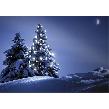 Christmas Time