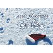 Message In The Snow