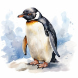 A Lonely Penguin