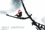 A Simple Christmas