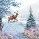 Deer Family