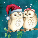 Christmas Owls