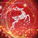 Christmas Reindeer